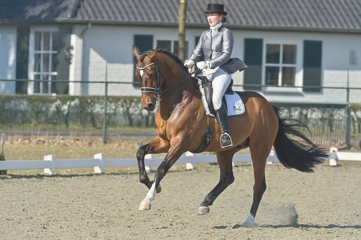 Wendel in actie
