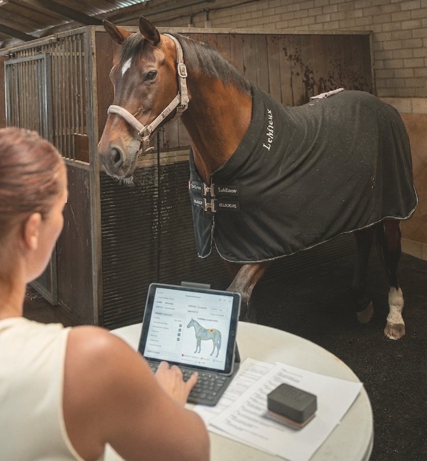 De opstelling van een geluidtherapiesessie: het paard, de tablet met de geluidsbestanden en de formulieren op tafel
