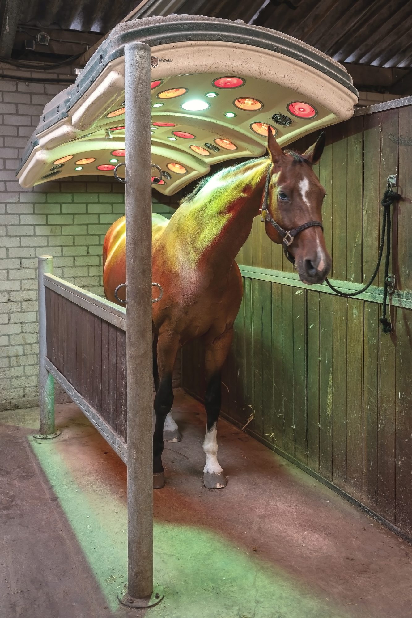 Het solarium in gebruik bij Equinova