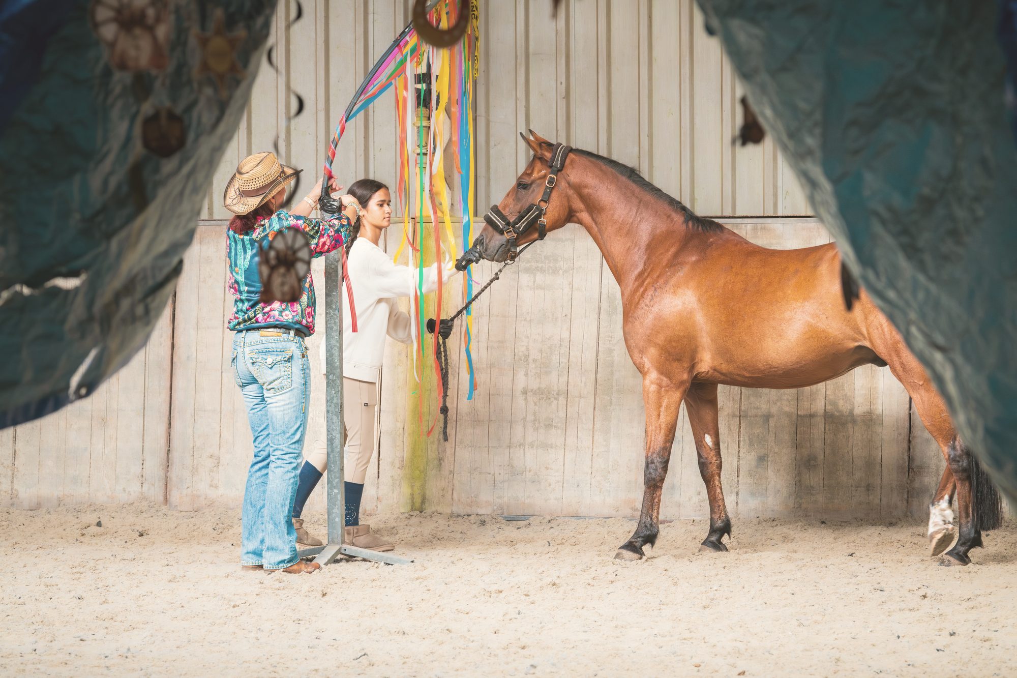 Een paard maakt aan de hand kennis met een vliegengordijn van gekleurde linten tijdens een Ventura-clinic