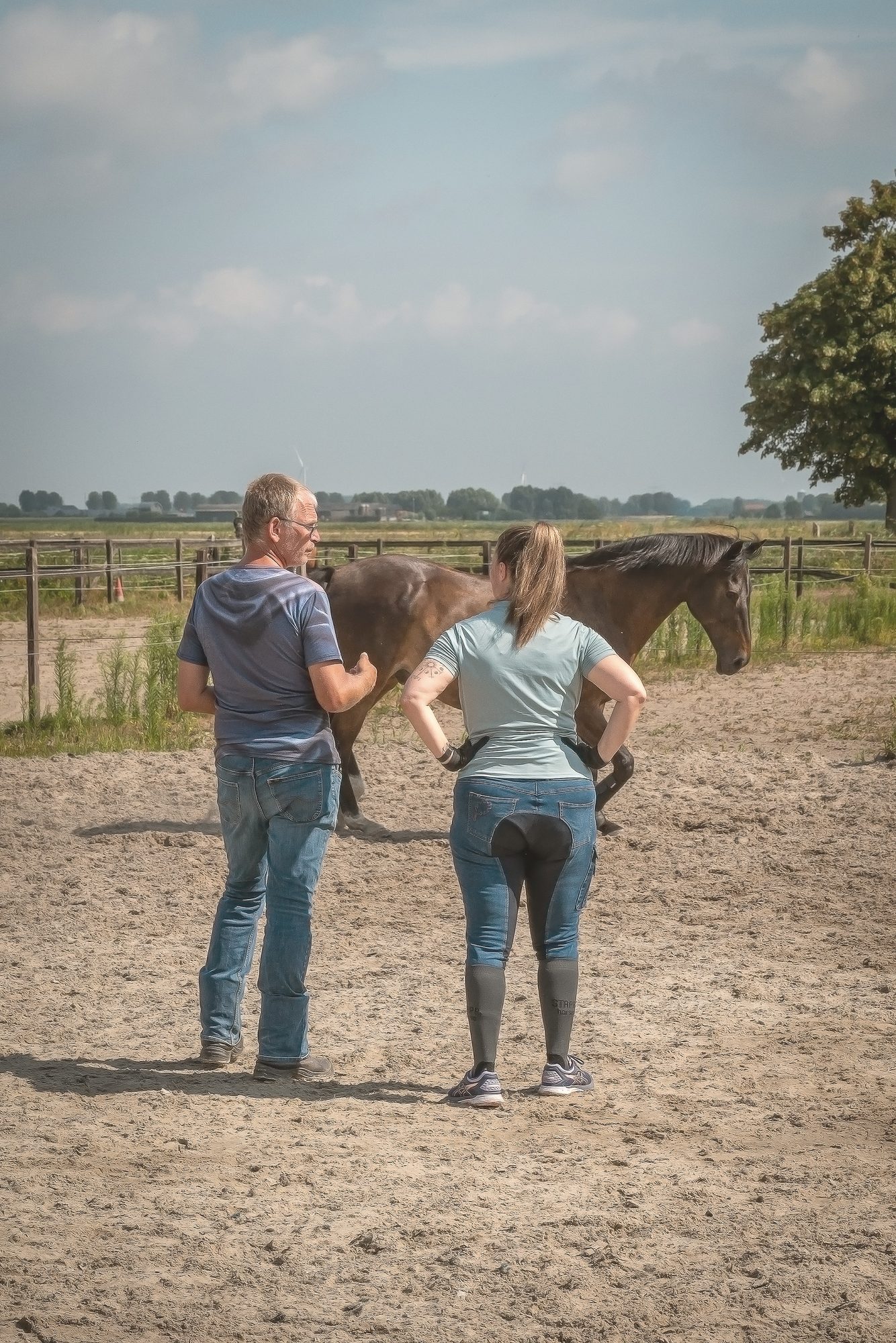 Een dressuurles in actie bij Equinova in Hoeven