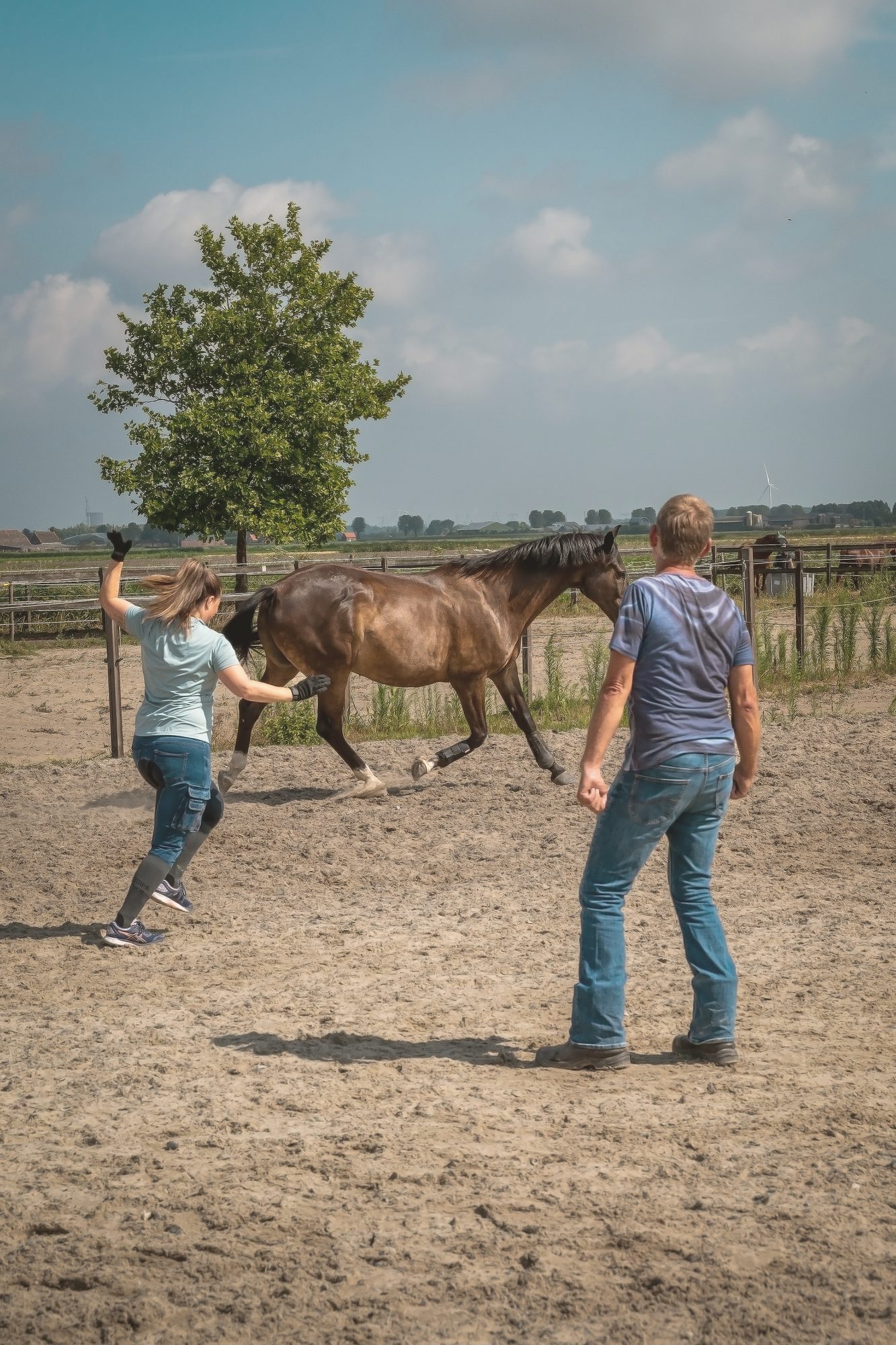 Grondwerk aan huis: een paard in beweging, een instructeur die drijft en een eigenaar die meekijkt