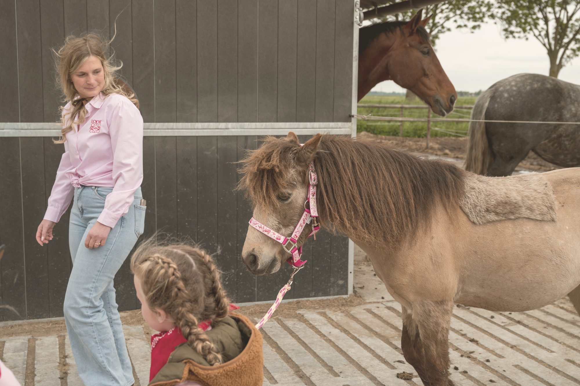 Een kind dat een pony ophaalt bij Equinova in Hoeven