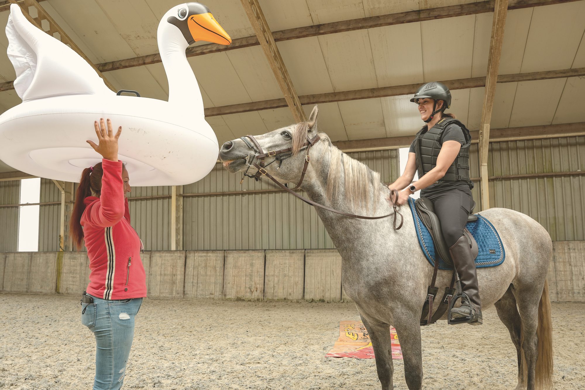 Inge & Carta — ervaring met Equinova