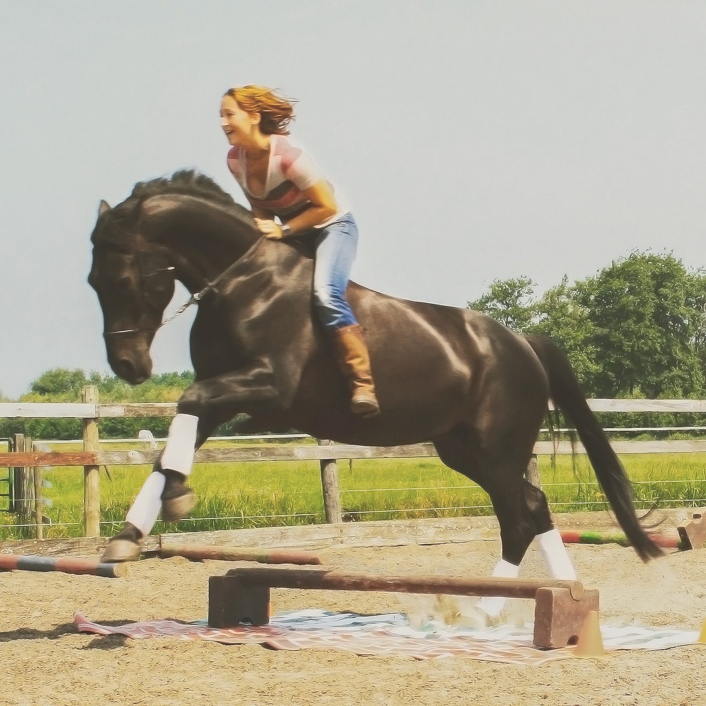Nicky met een van haar paarden, de band is te zien