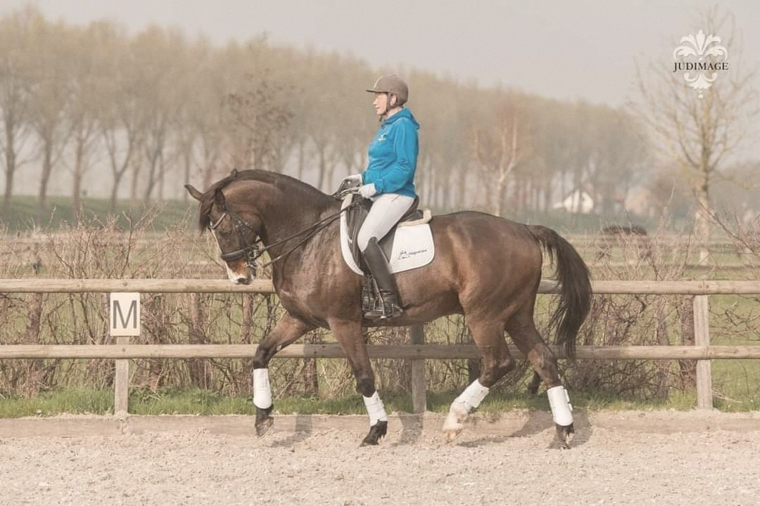 Abel in actie