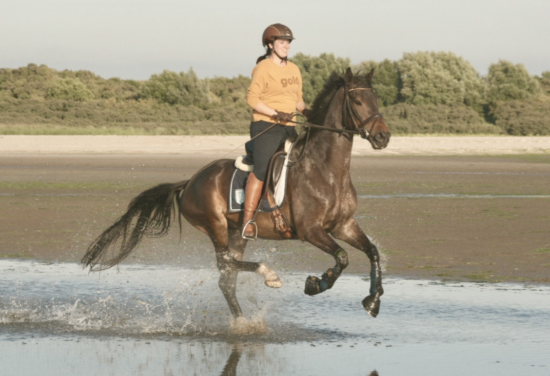 Enjoy in actie
