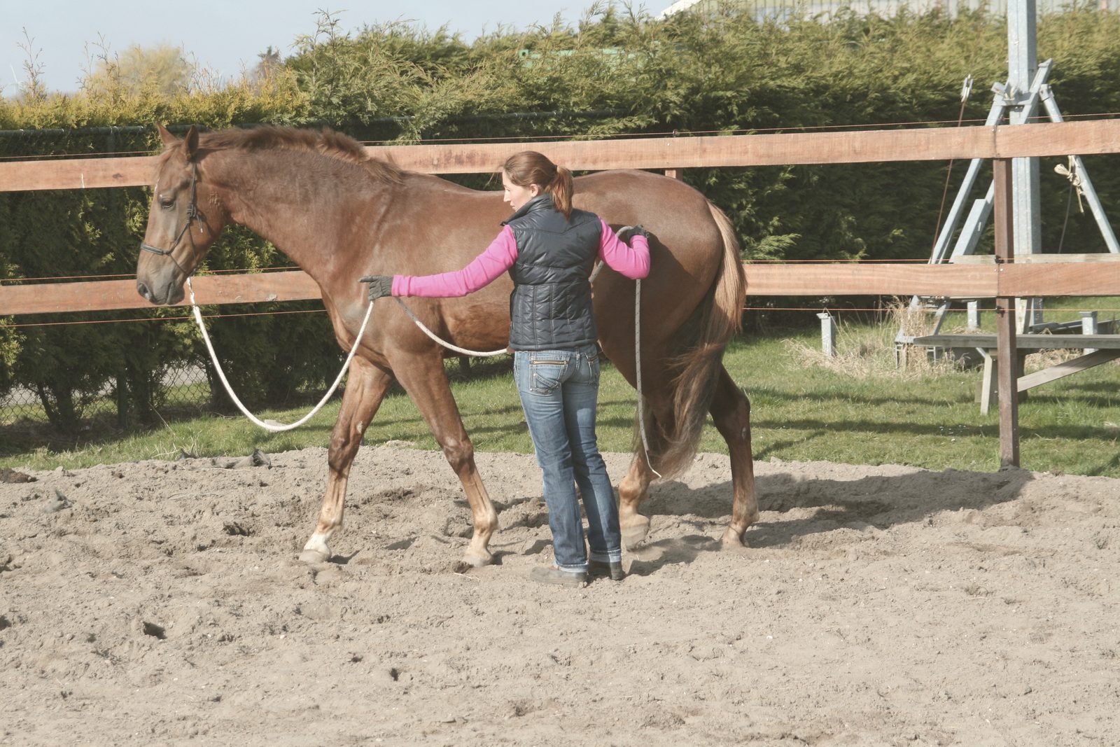 Grondwerk aan de hand, meelopend naast het paard
