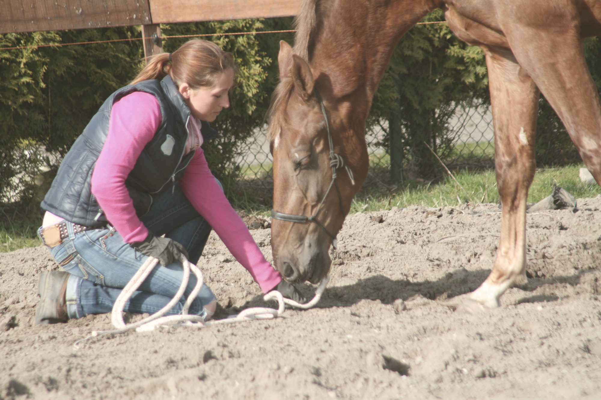 Een geknielde begeleider en een paard dat zijn hoofd laat zakken — een rustig moment van verbinding