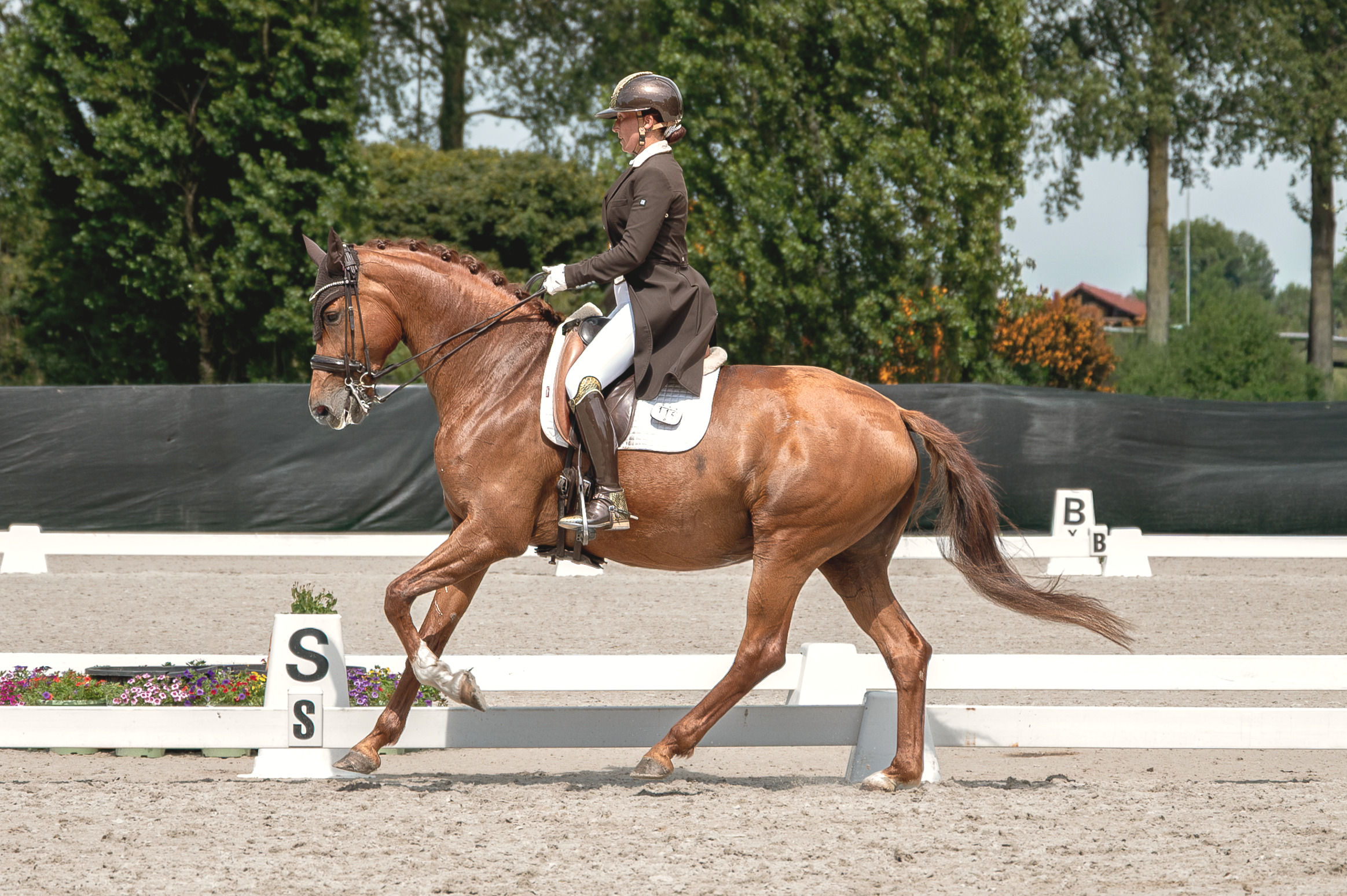 Jahzara in actie