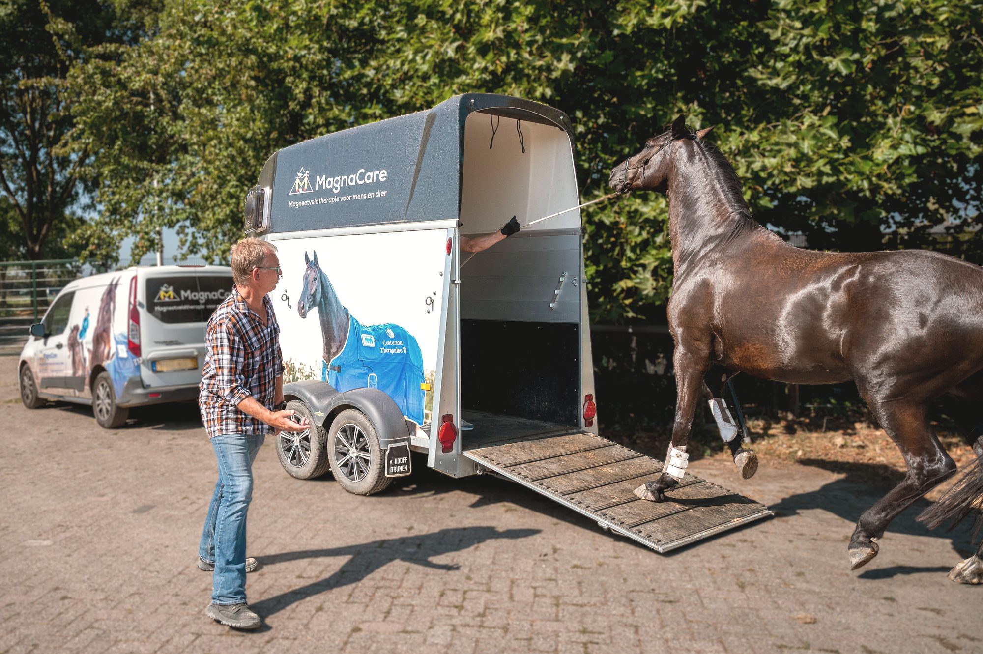 Een paard draait weg van de klep van de trailer, met een begeleider ernaast
