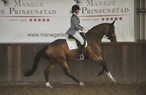 Schoolmaster Diva, ben jij klaar voor haar? Schoolmaster Equinova's Diva, het ideale leerpaard voor jou!