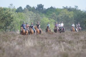 Ponykamp voor ons volwassen Dreamteam