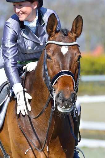 Groei als paardenvrouw en je groeit in jouw hele leven als partner, ouder, vriendin en professioneel