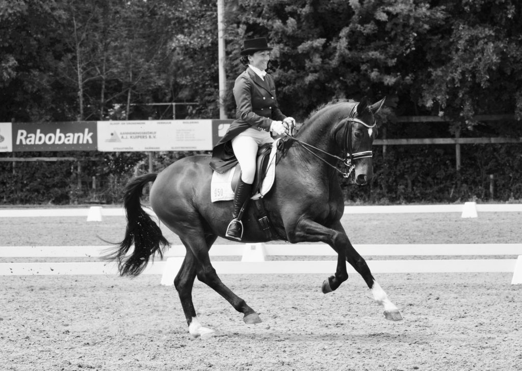 Zowel ruiter Nicky Star als paard Wendel: Happy AthleteS