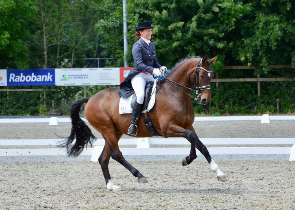 Grand Prix paard Wendel ook ter lease beschikbaar