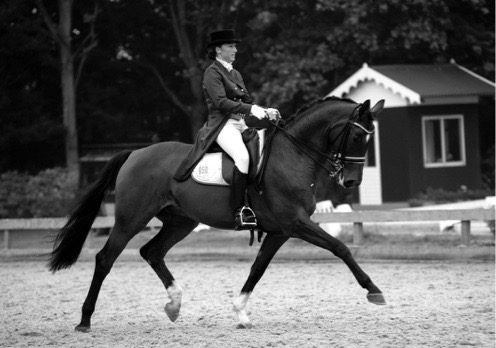 Een goede Relatie tussen ruiter en paard en het team om je heen is zo belangrijk!