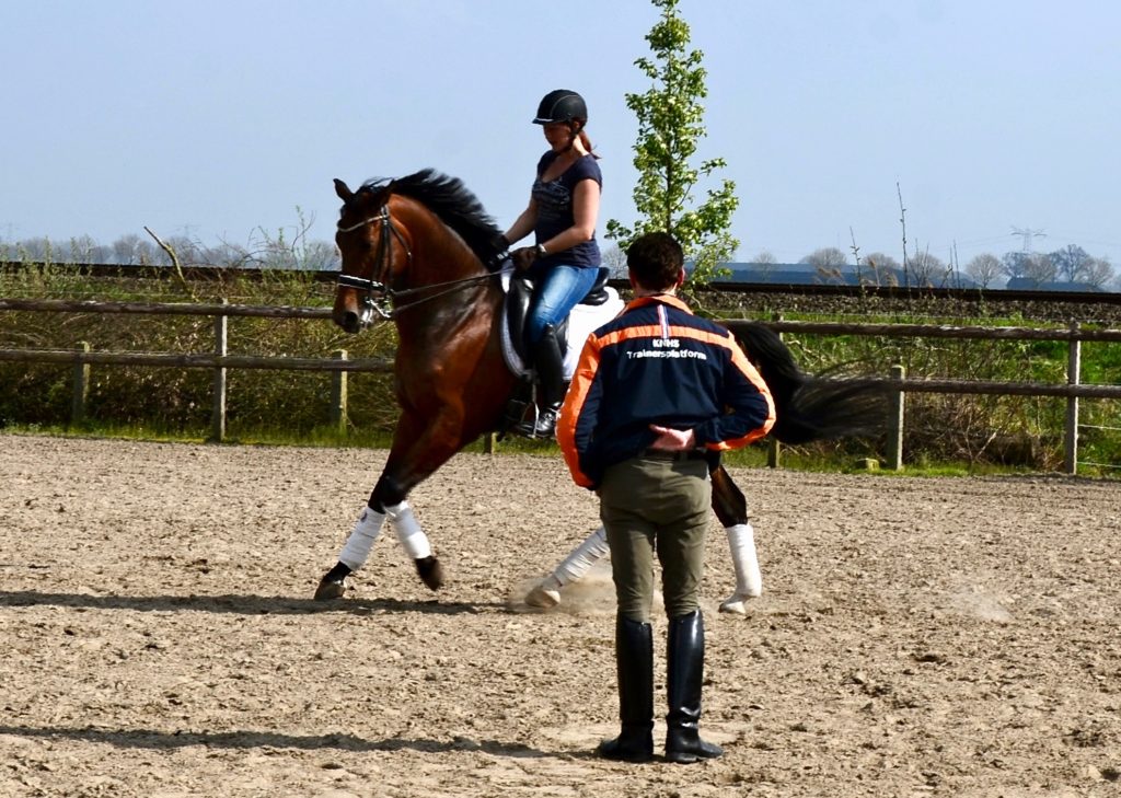 Tonnie Huberts geeft Nicky Star begeleiding met Equinova's Bruce tijdens een training