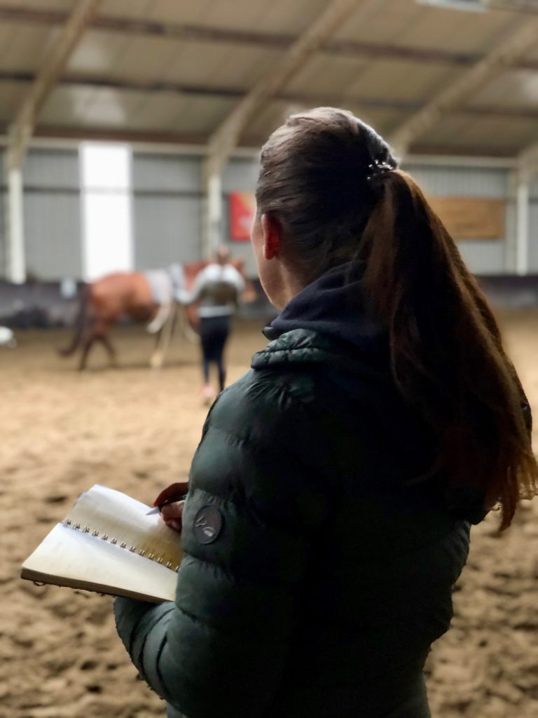 Helemaal niets mis met kritiek, zonder kritiek ook geen leermomenten, maar kritiek kan op een normaal volume, met normale taal, met als doel iemand of iets verder te helpen.