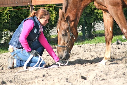 Nicky met Bolero in de oefening hoofd laag, kennis van het paard is alles