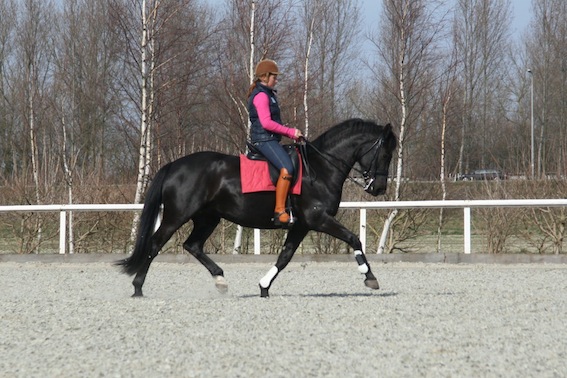 Prijzen training in de vorm van een traject, want training kost tijd