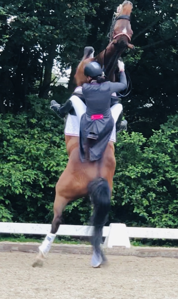 Training van mijn eigen lastige Wendel, tot Grand Prix paard