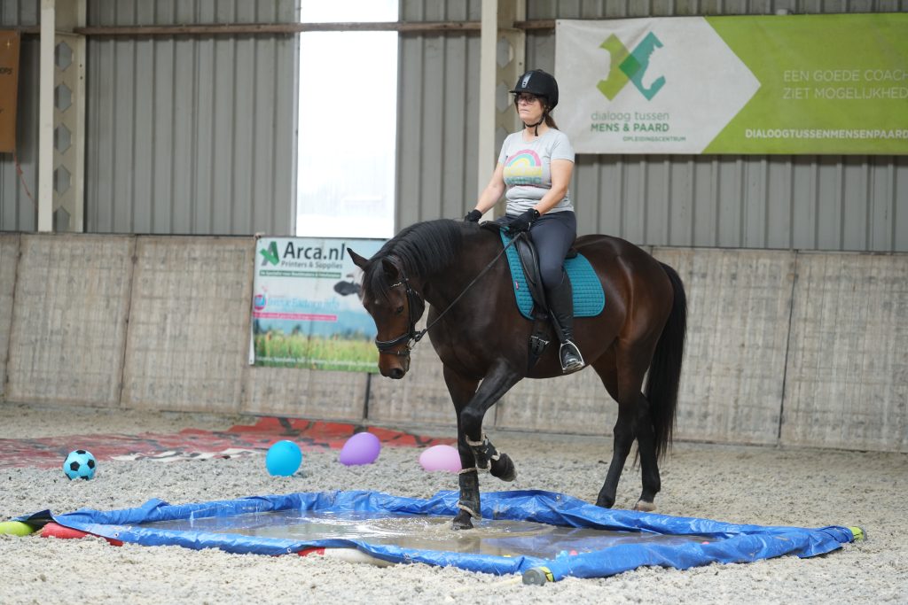 Equinova's Ventura: durf jij door het water?
