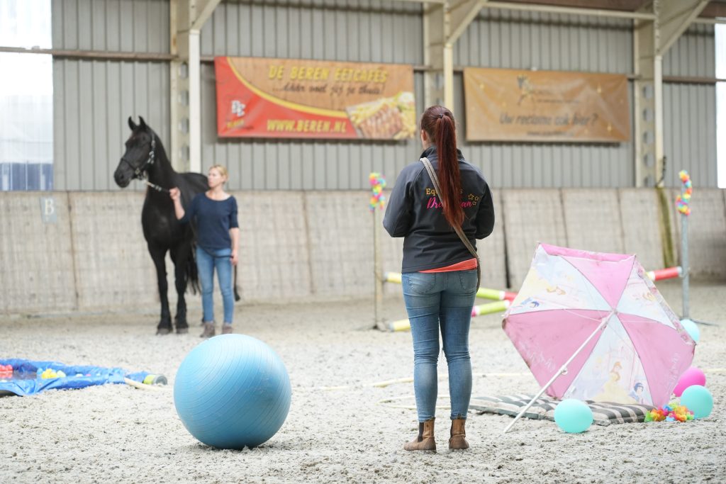 Equinova's Ventura clinic, duidelijke uitleg, veiligheid, vertrouwen opbouwen en plezier maken!