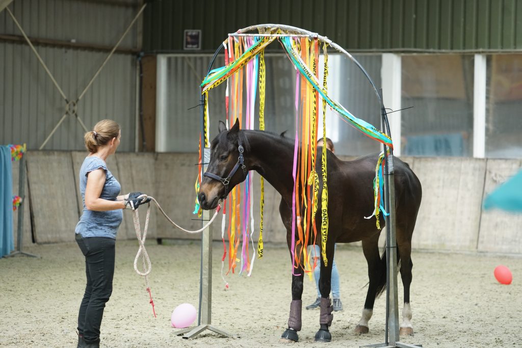 Equinova's Ventura - Waar aventuur en vertrouwen samen komen