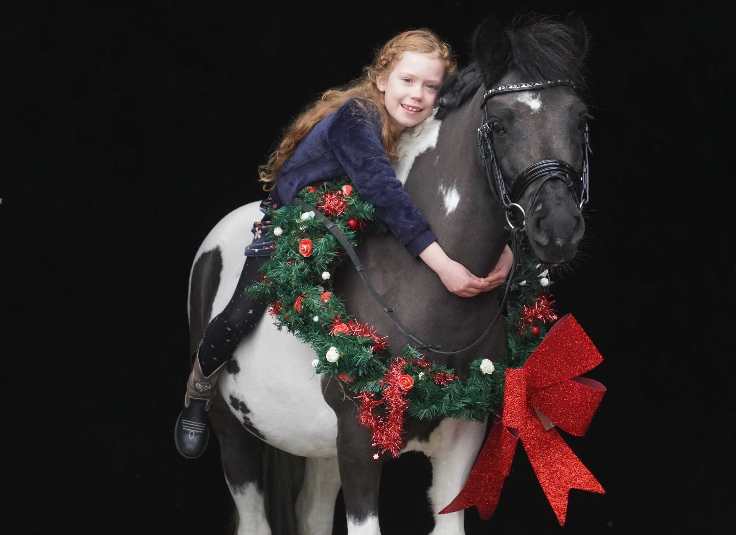 Gangster bedriegen Op te slaan Oreo, B-pony, merrie, 6 jaar, te koop! - Equinova