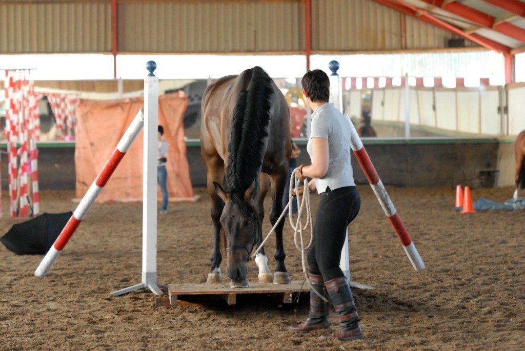 Wipwap Wipwap Wipwap