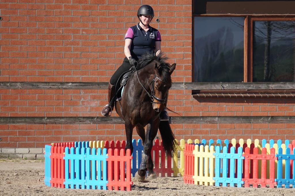 lol-met-je-knol trajecten bij Equinova met hierin onder andere Working Equitation