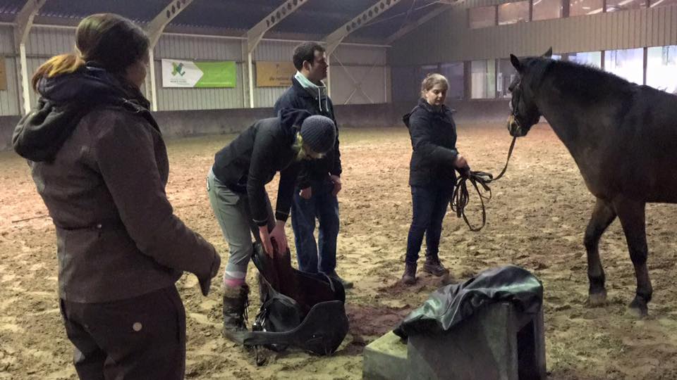 Masterminden met ieder zijn eigen specialisme en zienswijze